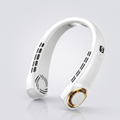 Standard White